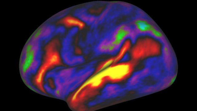 Lire la suite à propos de l’article Les neurosciences pour lutter contre l’échec scolaire – France 3 Normandie