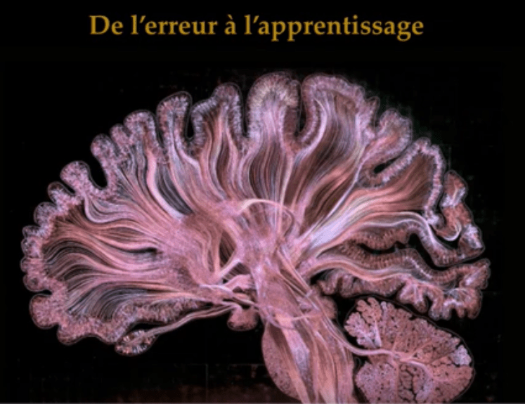 Lire la suite à propos de l’article Conférence sur les erreurs et l’apprentissage