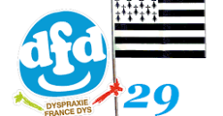 Visio DFD29