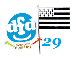 DFD29 : Visioconférence