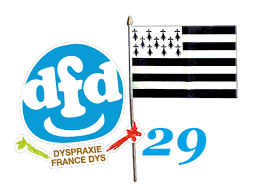 Visioconférence DFD29