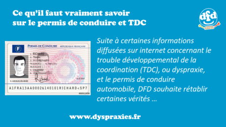 Illustration article avec photo de permis specimen