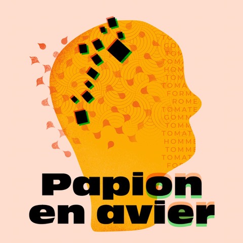 DFD 29 : Projection papion en avier