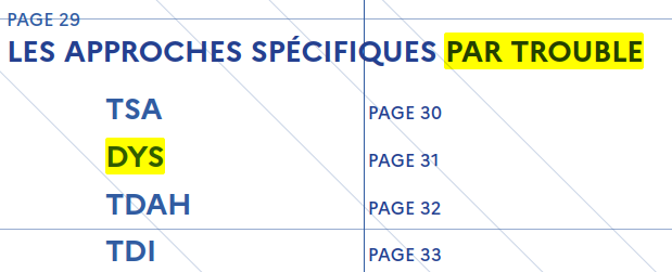 DYS - un trouble ? au singulier ?